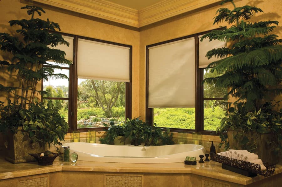 Franchise Partnership